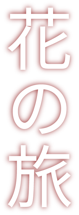 花の旅