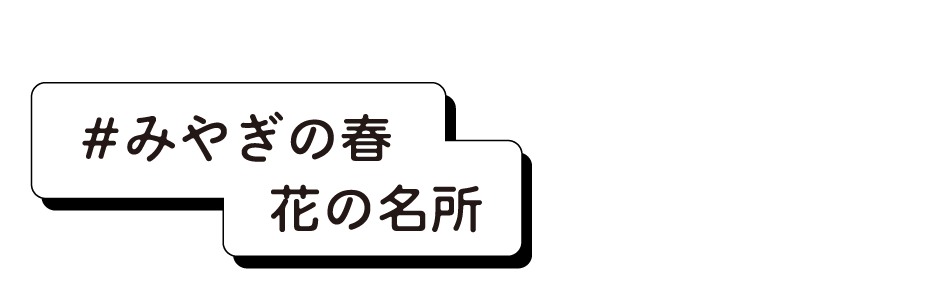 #みやぎの春 花の名所