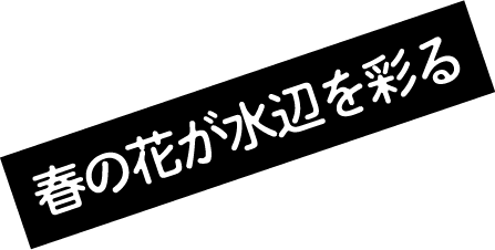 空に近い遊び場