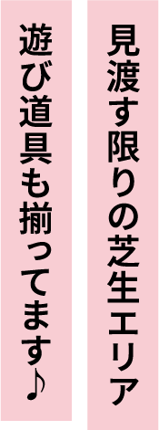 道具もウエアもレンタルOK 手ぶらで楽しむ！