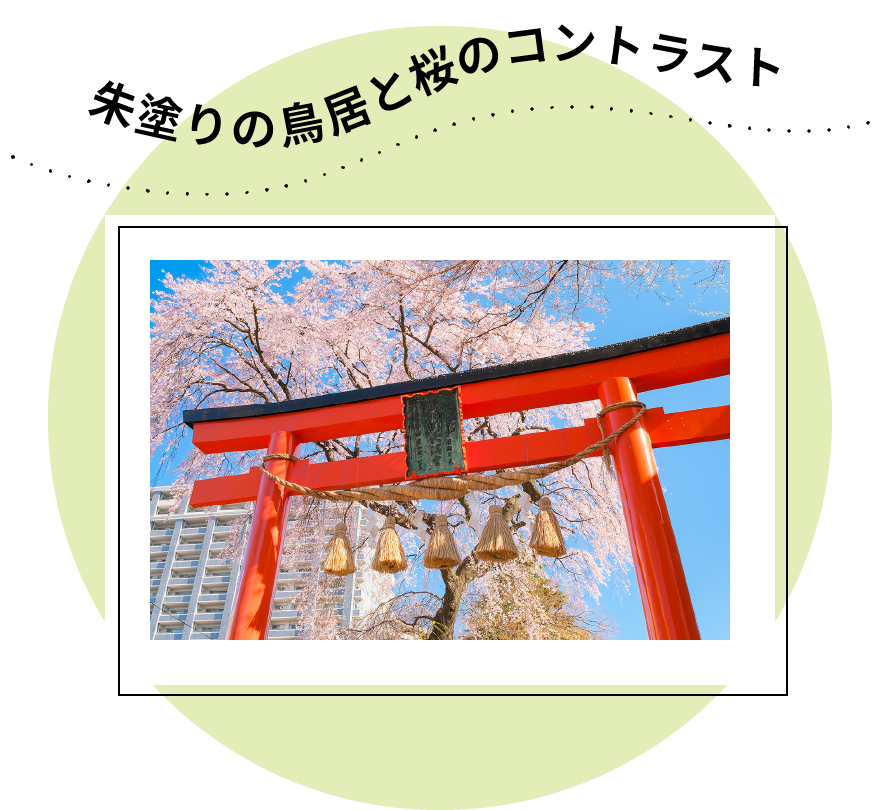 日常では味わえない癒しのひととき