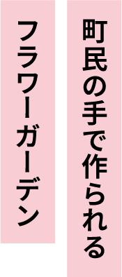 美肌から温まりの湯まで種類豊富な温泉