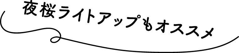 夜桜ライトアップもオススメ