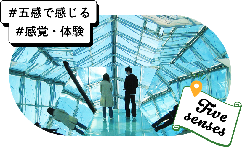 五感で感じる 感覚・体験