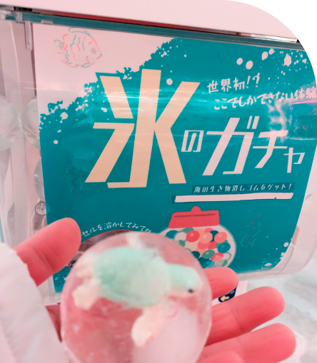 氷のガチャ