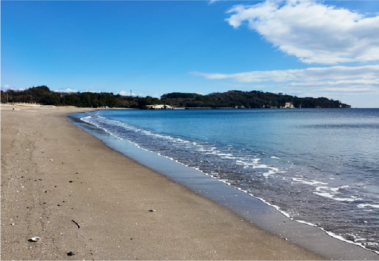 太平洋を望む海水浴場でひと休み