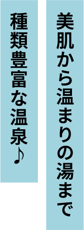 美肌から温まりの湯まで種類豊富な温泉