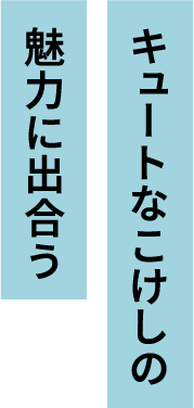 キュートなこけしの魅力に出合う
