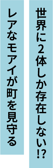 世界に2体しか存在しない！？レアなモアイが町を見守る